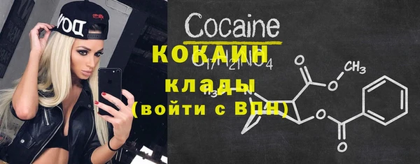 шишки Елизово