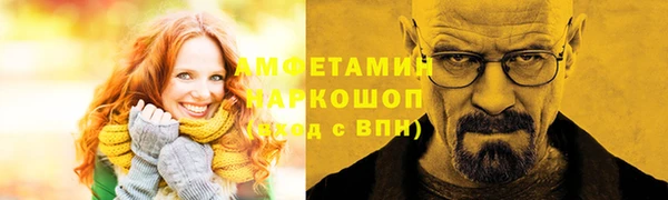 трава Ельня