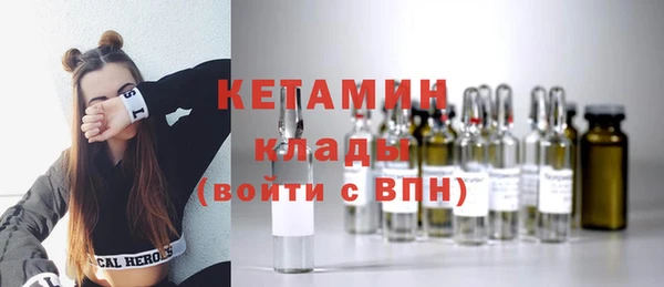 шишки Елизово