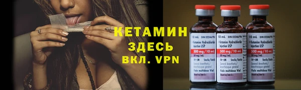 трава Ельня