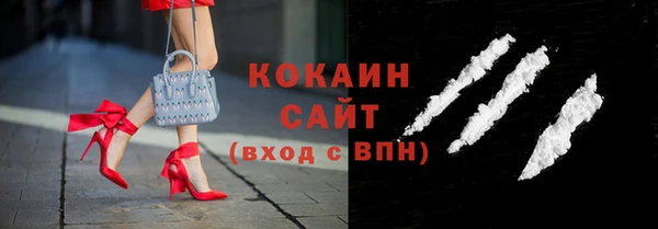 шишки Елизово