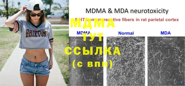 трава Ельня