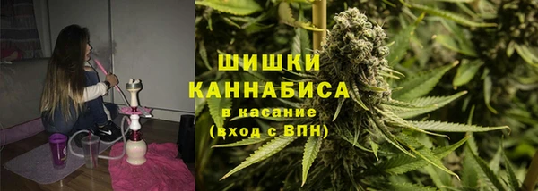 шишки Елизово