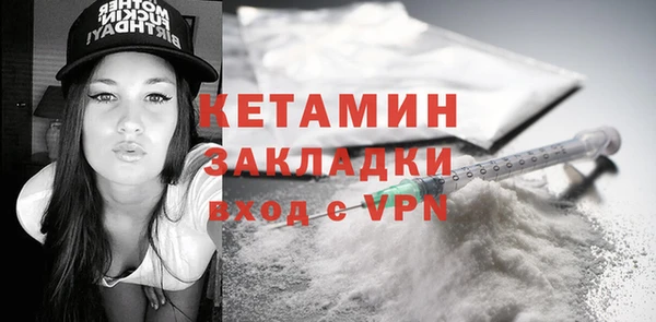 трава Ельня