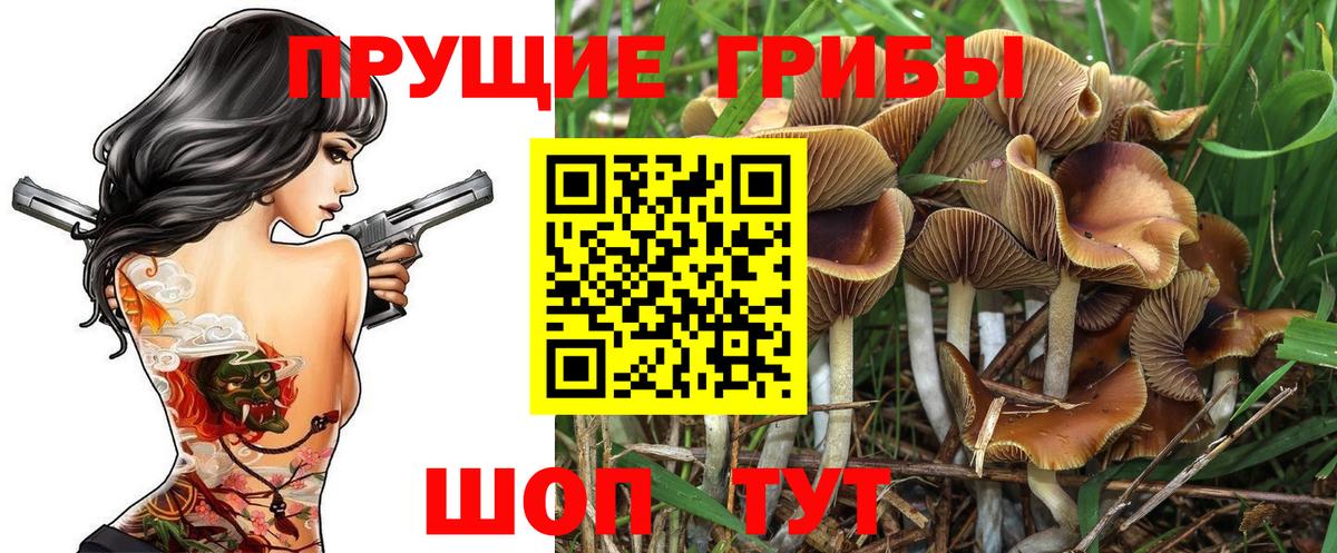 Галлюциногенные грибы Psilocybe Реж
