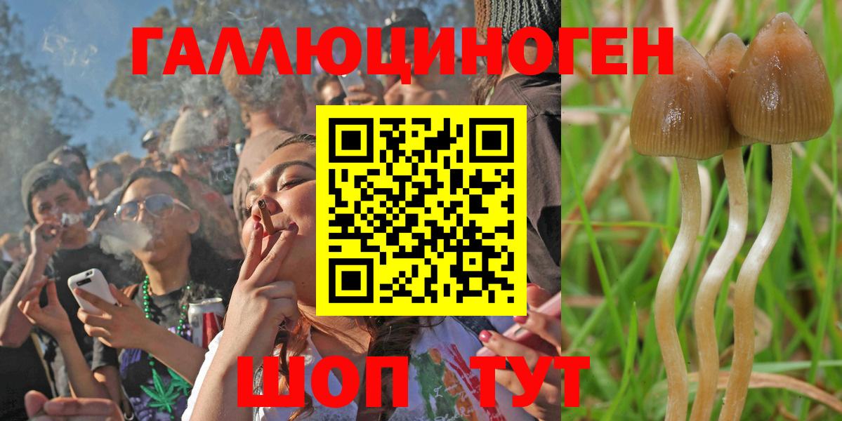 Реж  Галлюциногенные грибы GOLDEN TEACHER  Вход с VPN  Галлюциногенные грибы GOLDEN TEACHER 